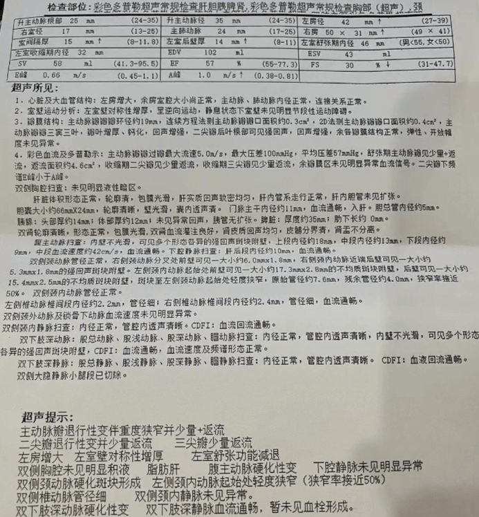 莫莱伤病史完整报告(莫莱伤病史完整报告是什么)