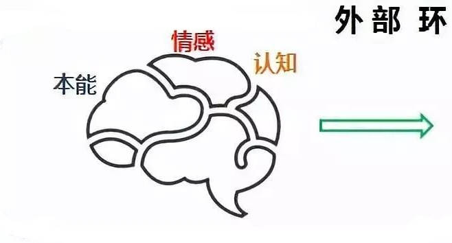 马尼安传球精准度测试(亚狮龙88号球测评)